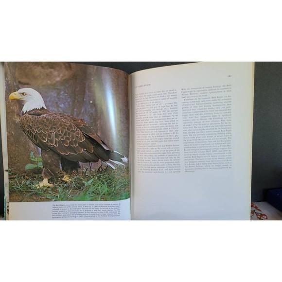 Birds of Prey of the World - Picture 8 of 10